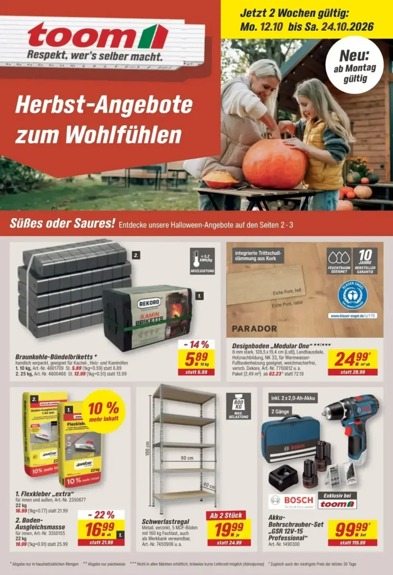 toom baumarkt prospekt kw-42