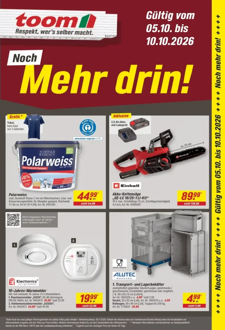 toom baumarkt prospekt kw-41