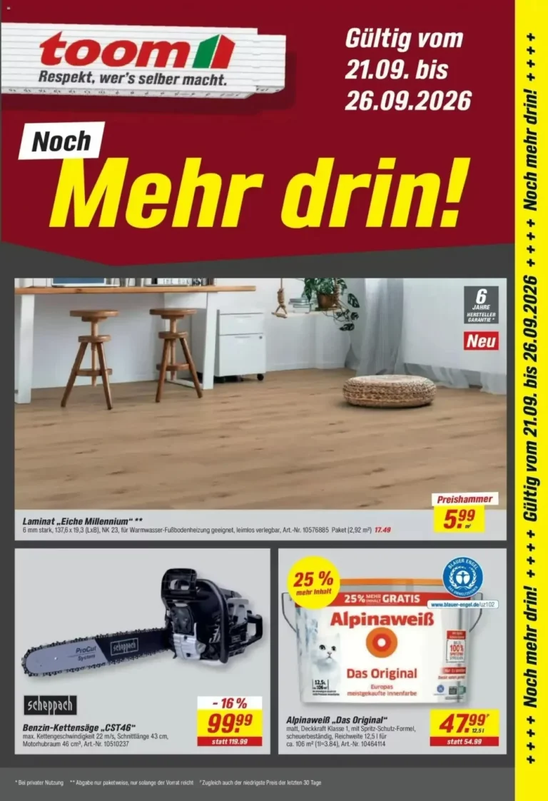 toom baumarkt prospekt kw-39