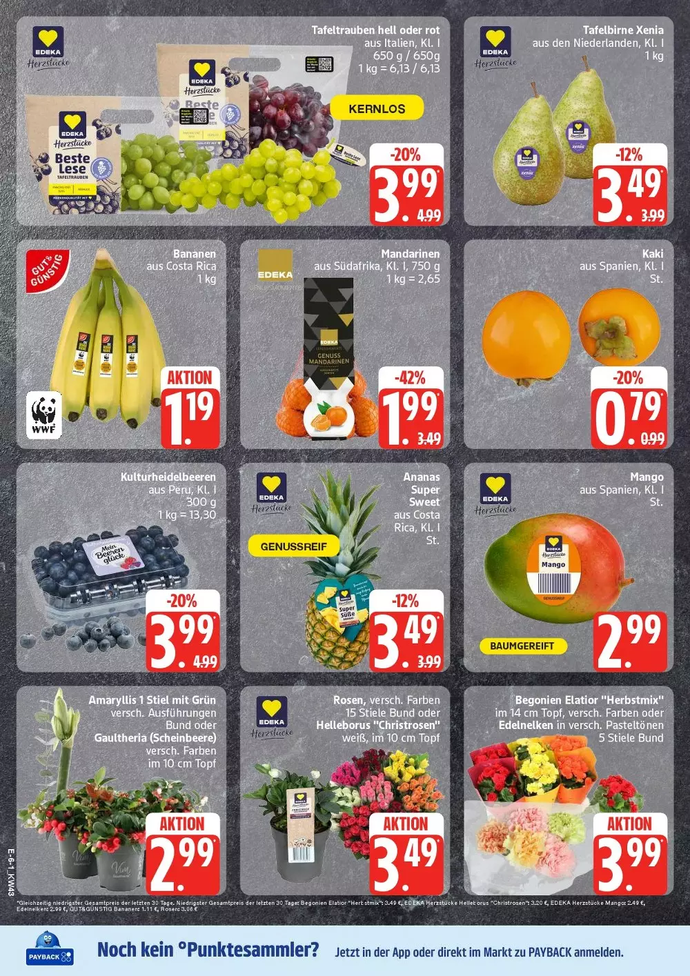 edeka nord prospekt october 19 24 8 697