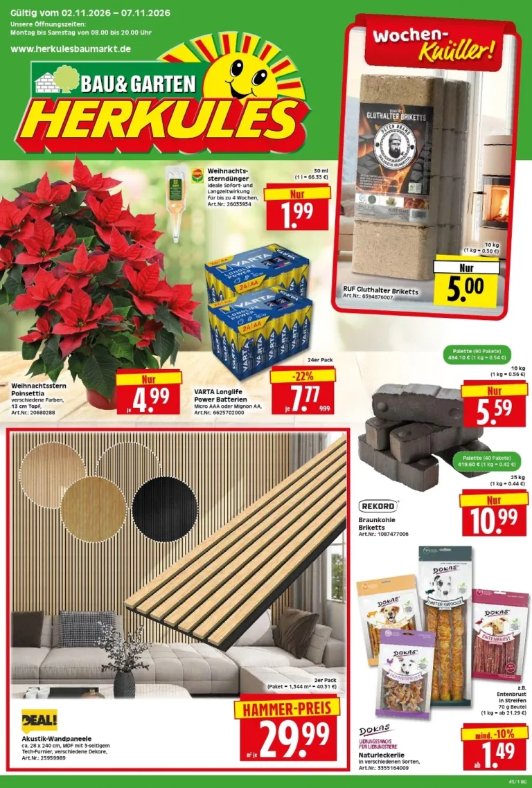 herkules baumarkt prospekt kw-45