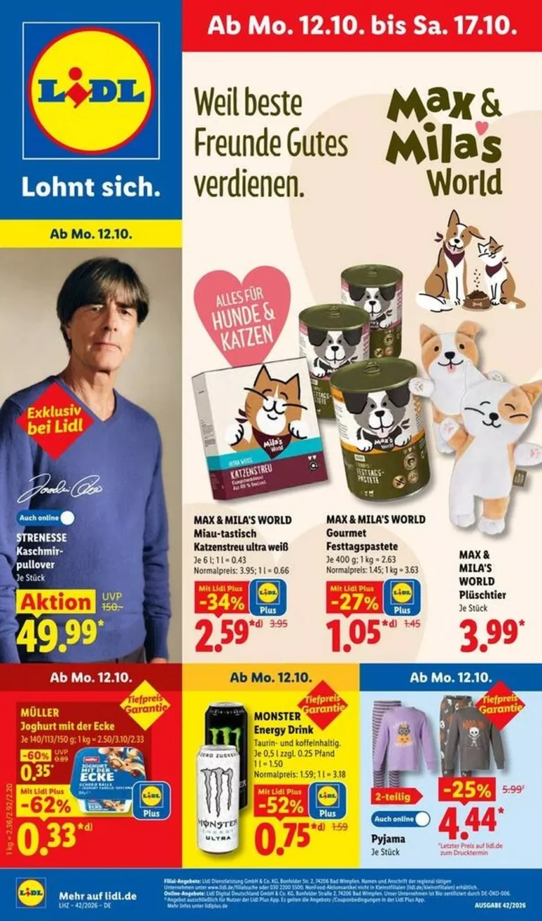 lidl prospekt
