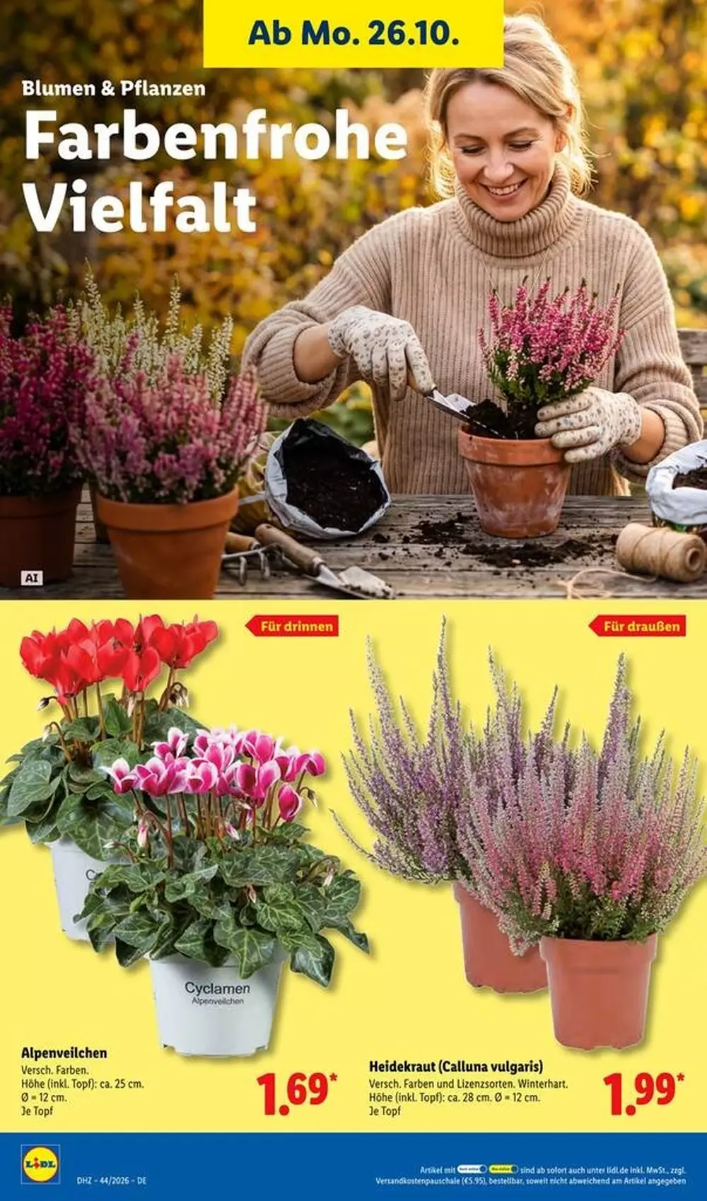 lidl prospekt oktober 26 31 32 893