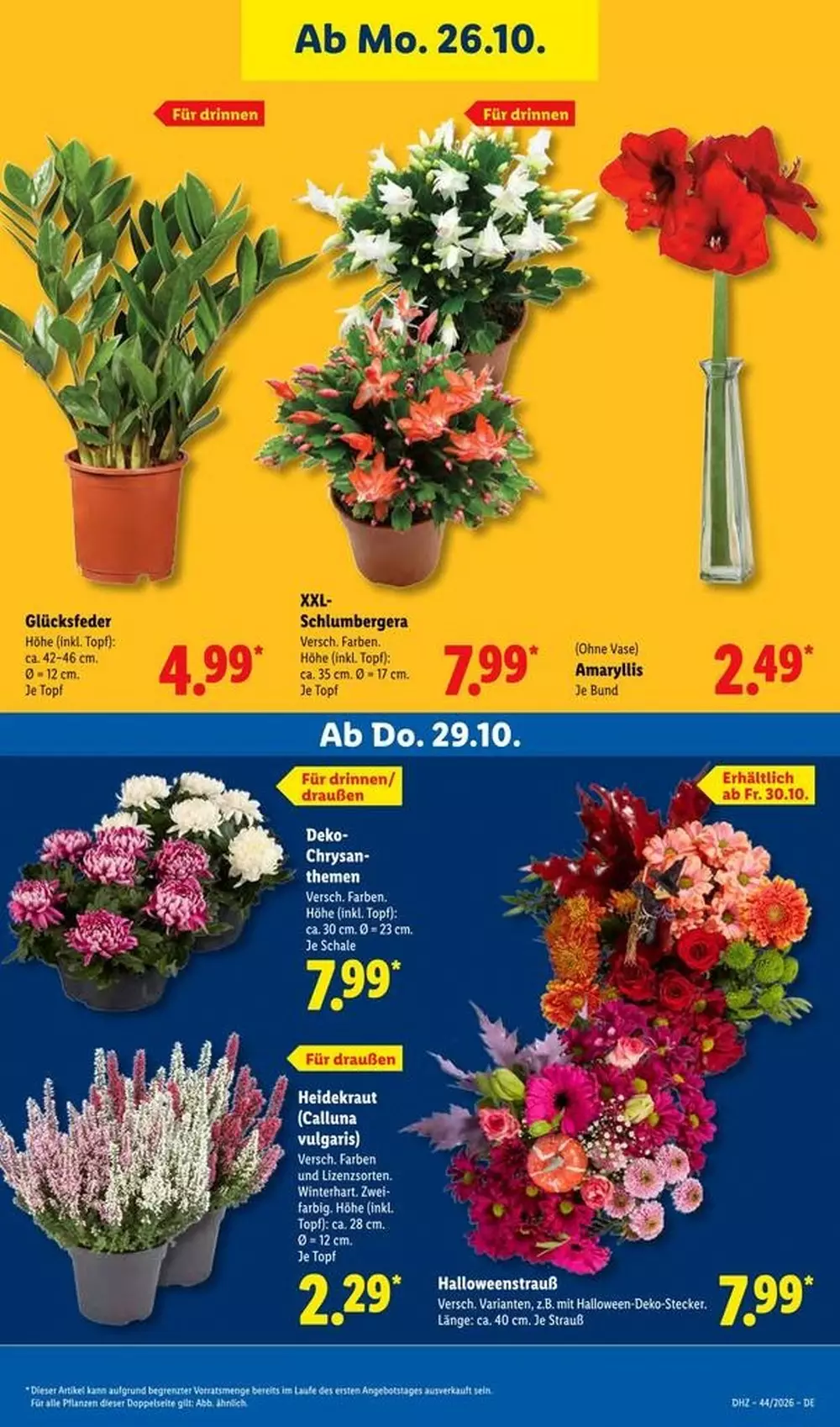 lidl prospekt oktober 26 31 33 920