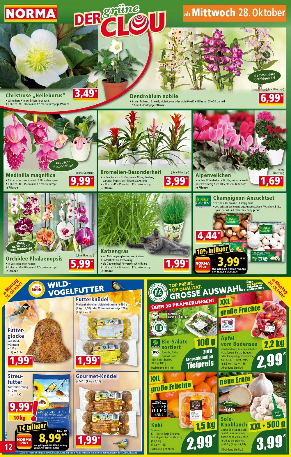 norma prospekt oktober 26 31 12