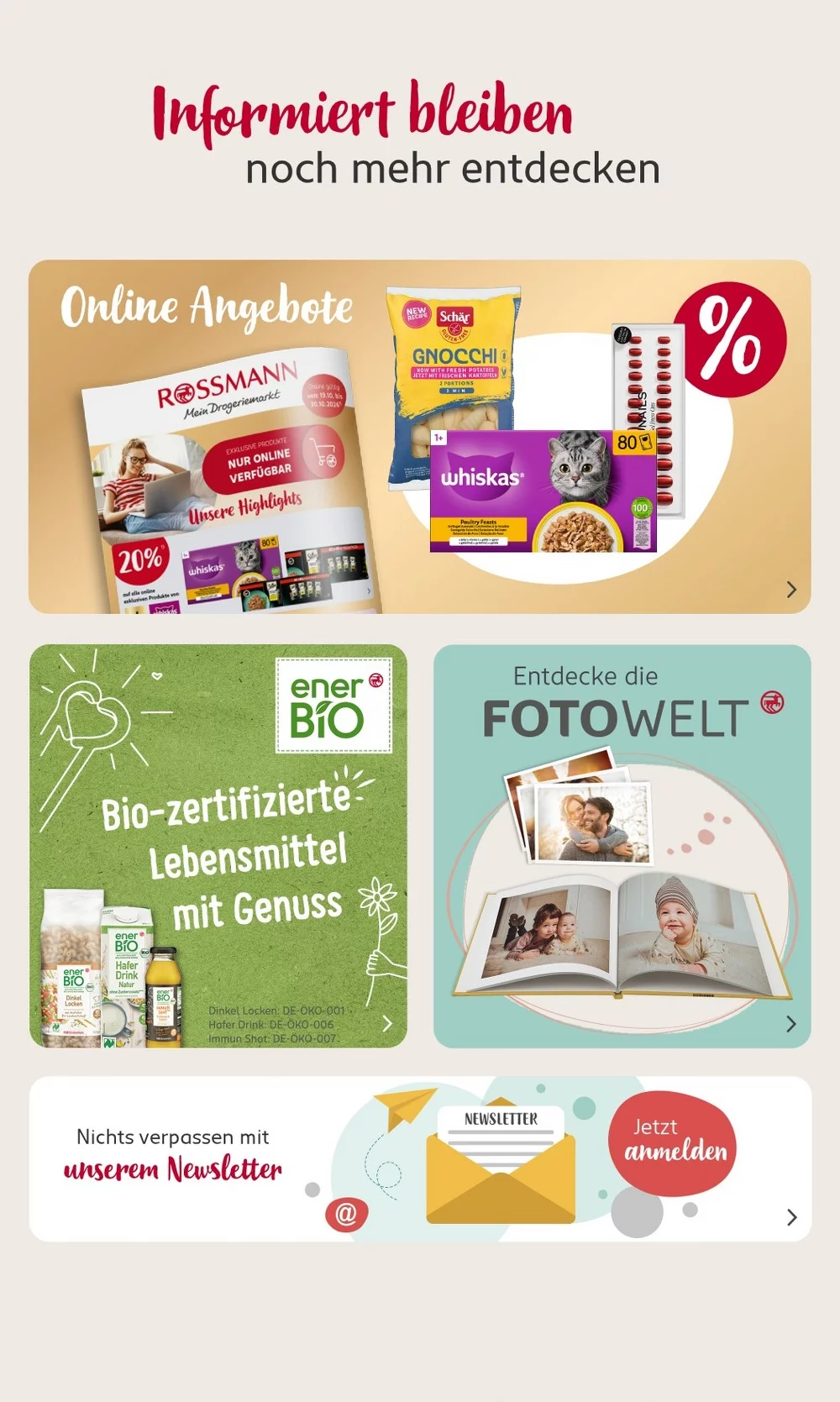 rossmann prospekt oktober 19 24 26