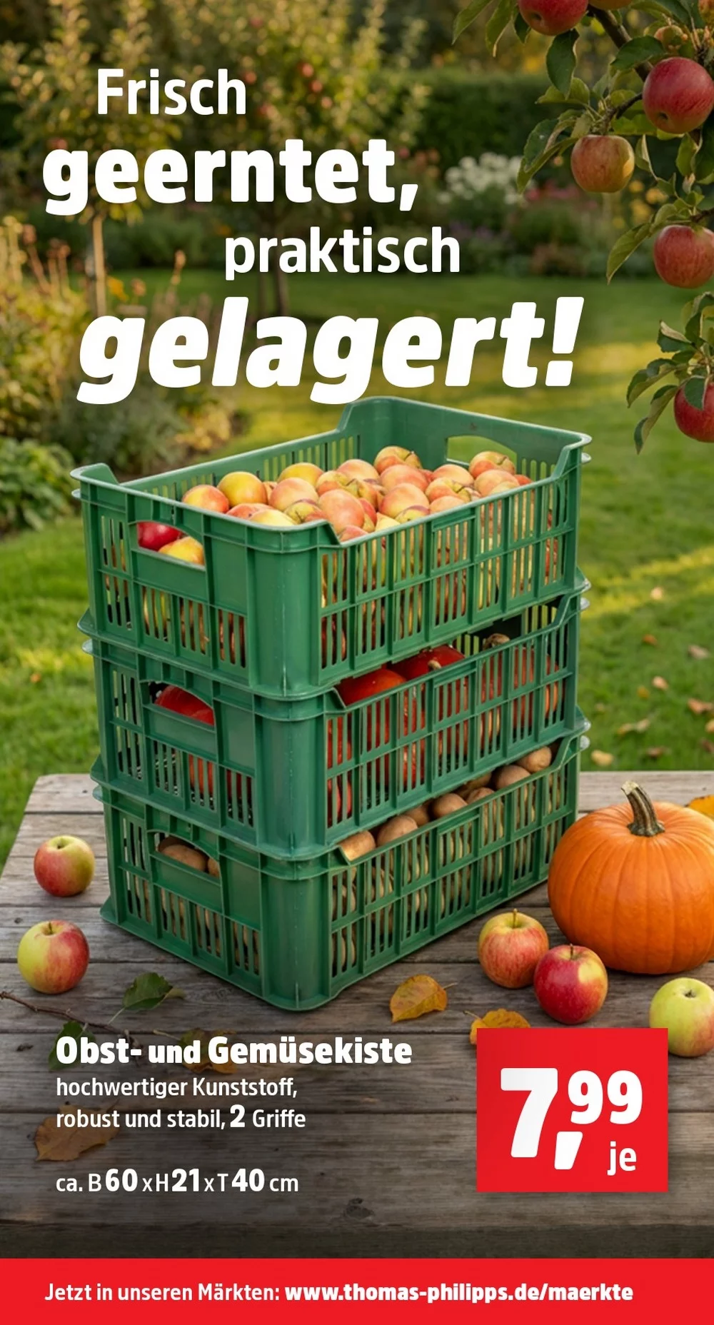 thomas philipps prospekt oktober 19 24 17